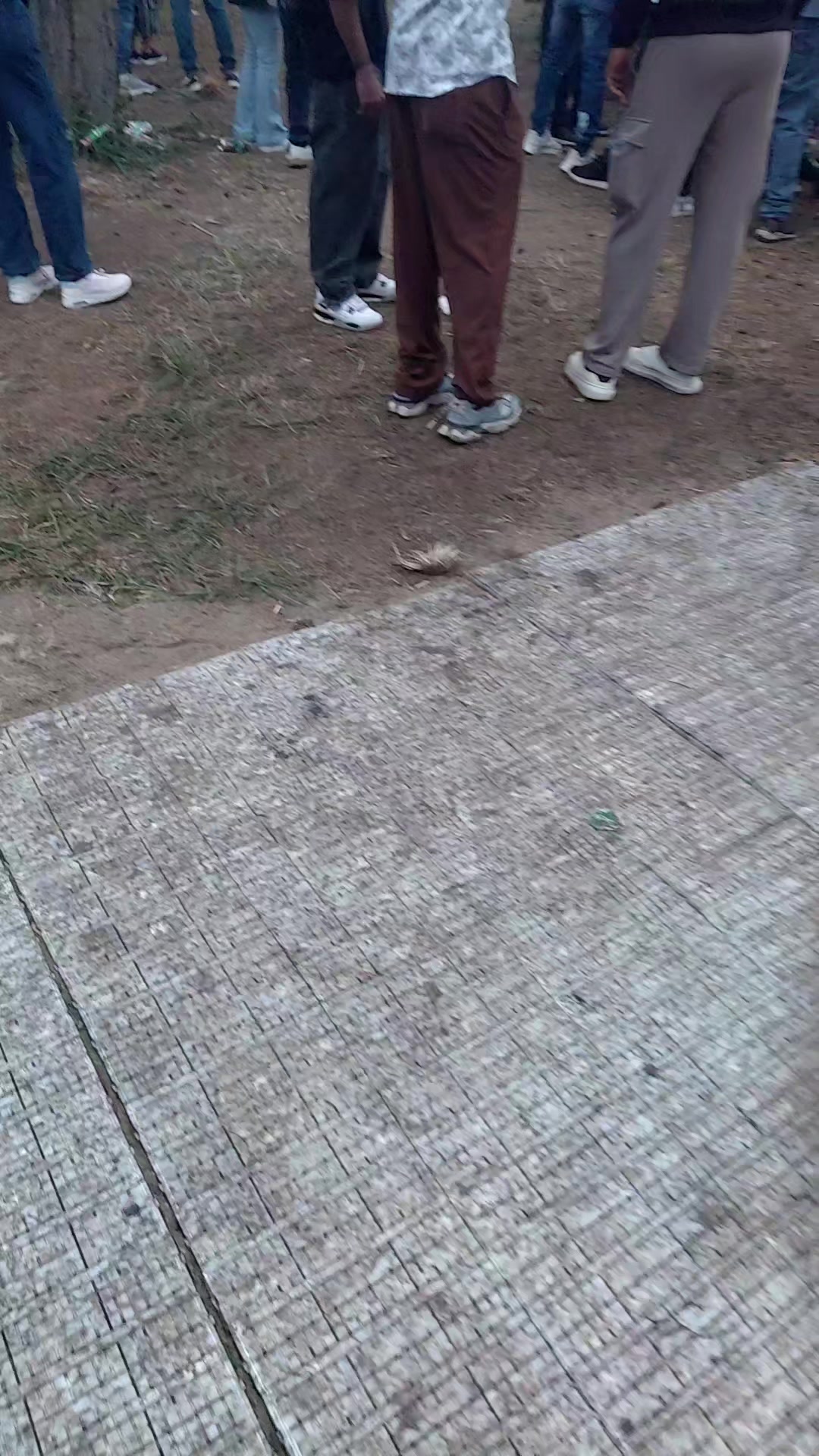 @Madu දකුණේ,🇱🇰🇷🇴 Bucurest