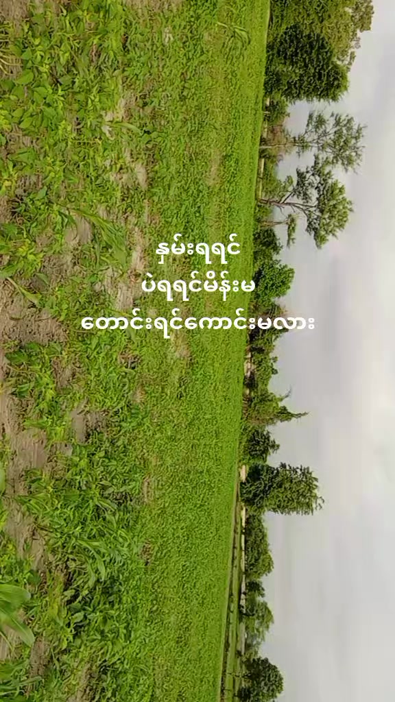 @8/နက်မောက်သားလေး