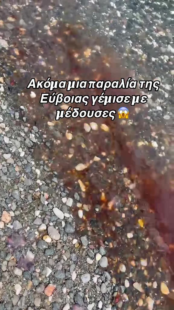 @Evima.gr
