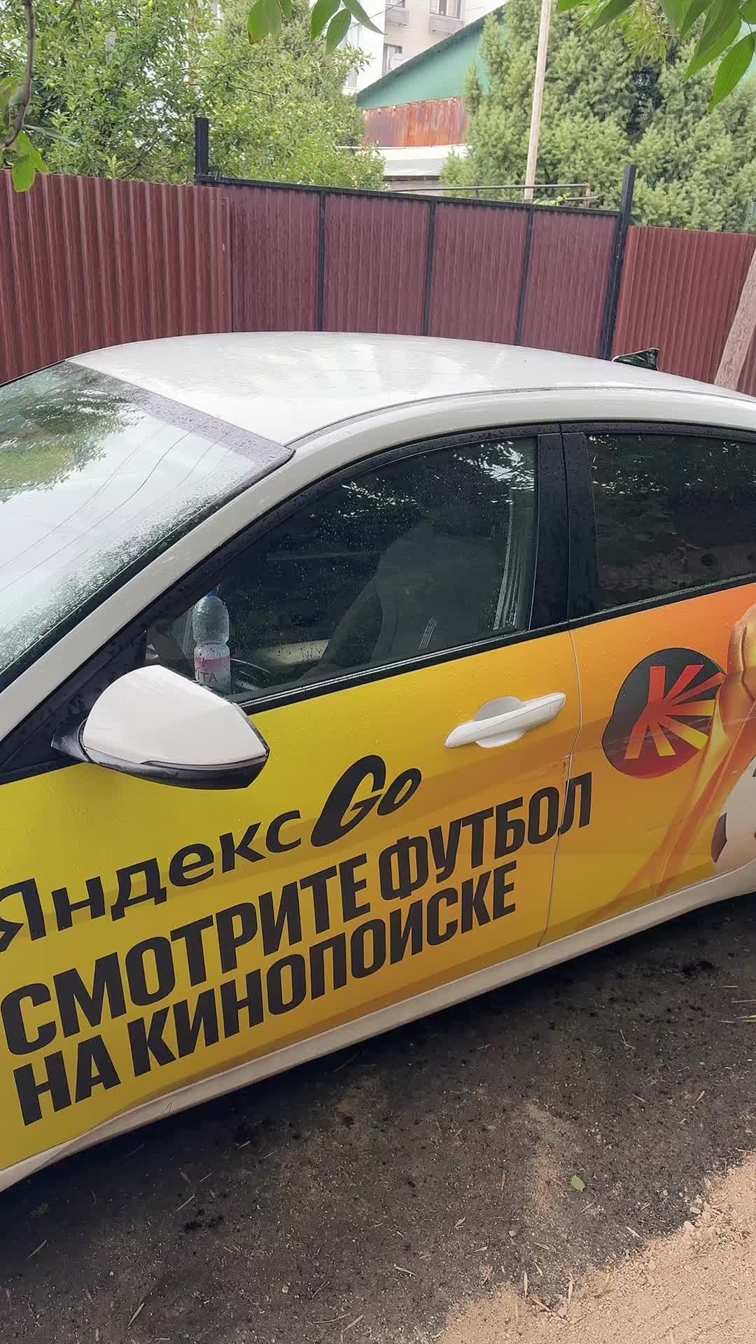 @MeirYandex🚩