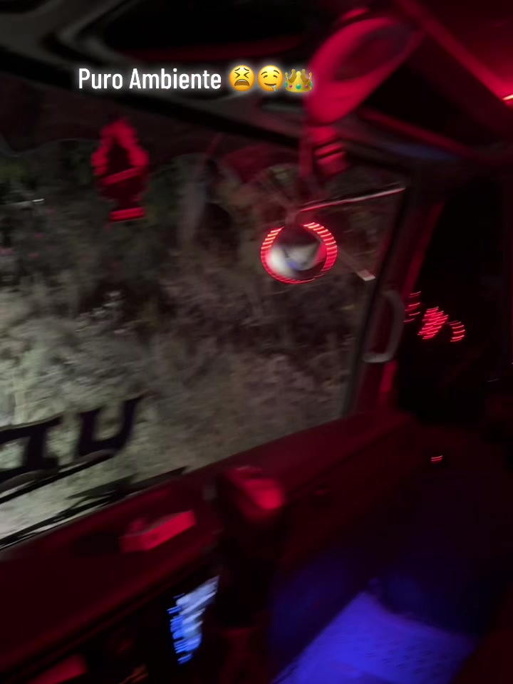 @Alexander 701 🗣️😼