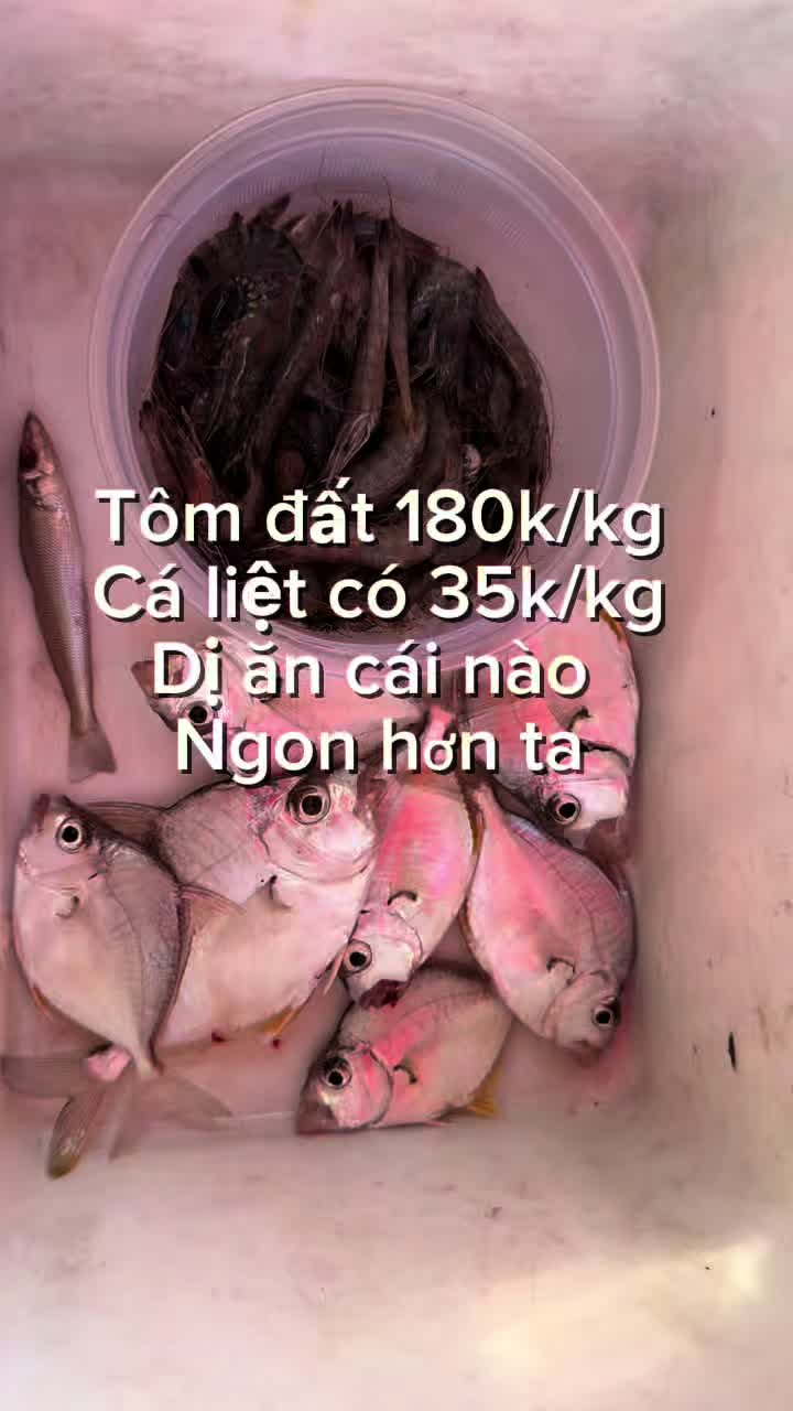 @câu cá Nha Trang