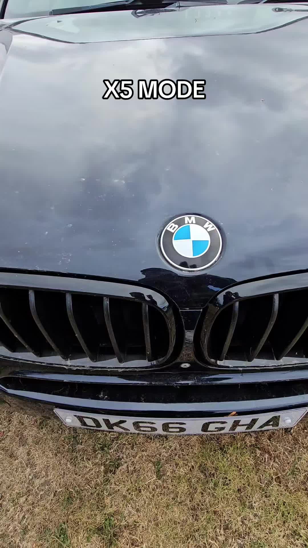 @drivenbystephen