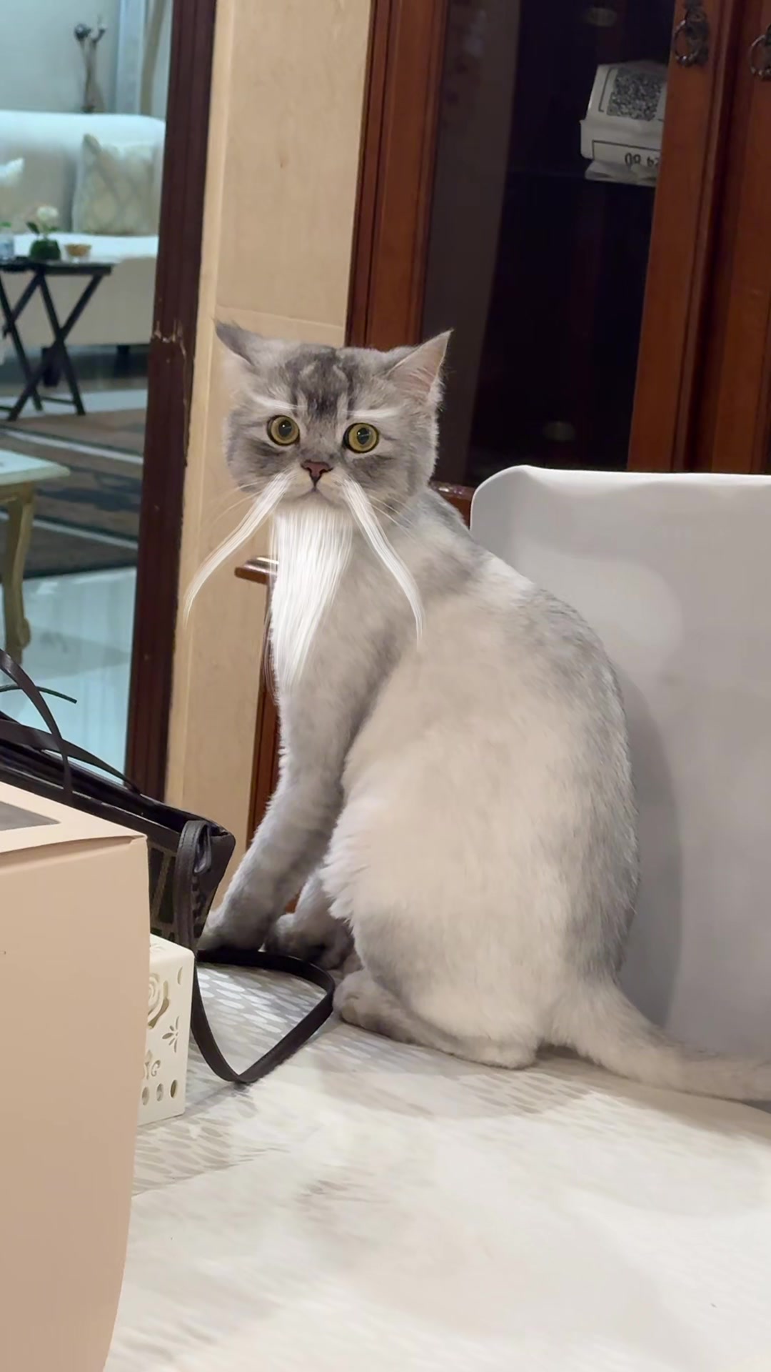 @Suzzan 🍁