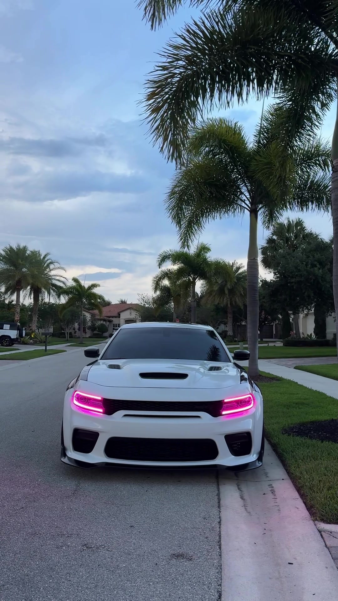 @srt ant