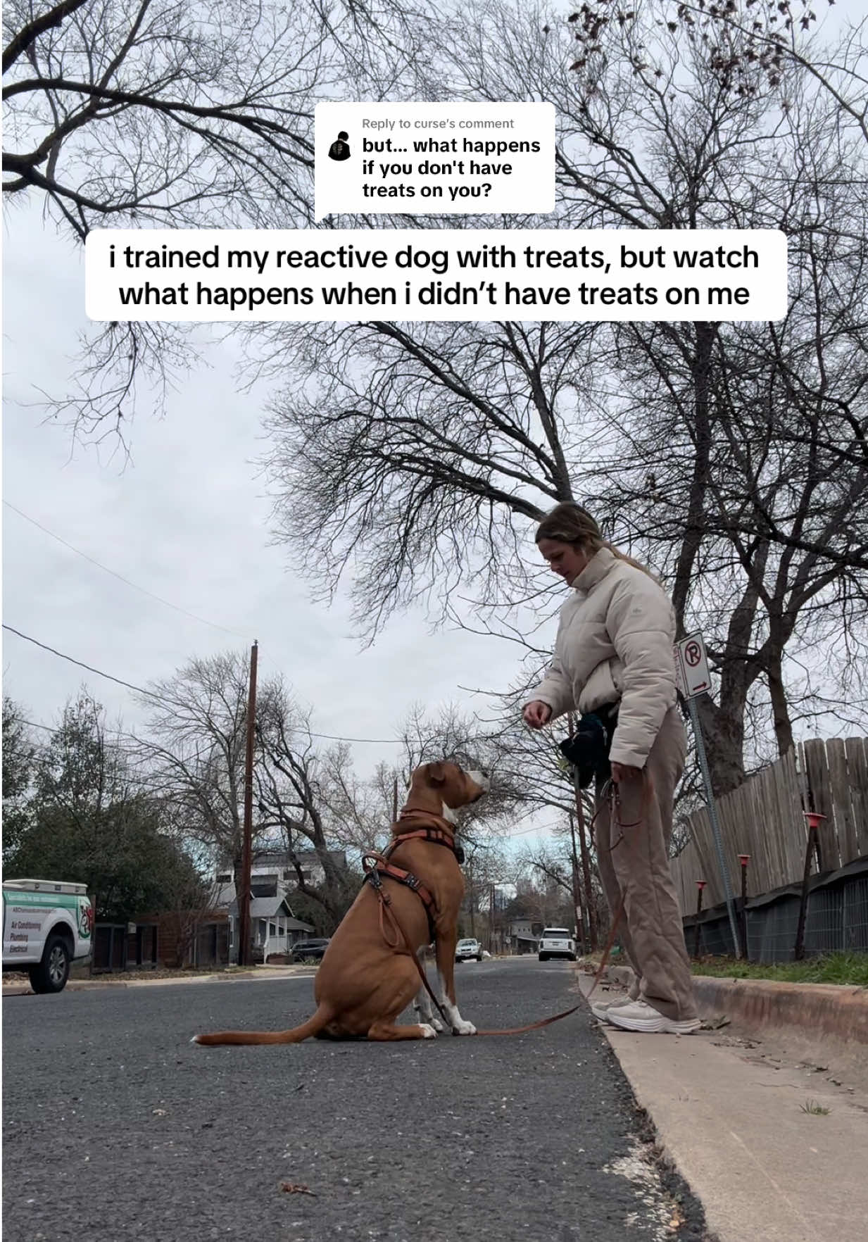 @Abby KPA-CTP | Dog Trainer