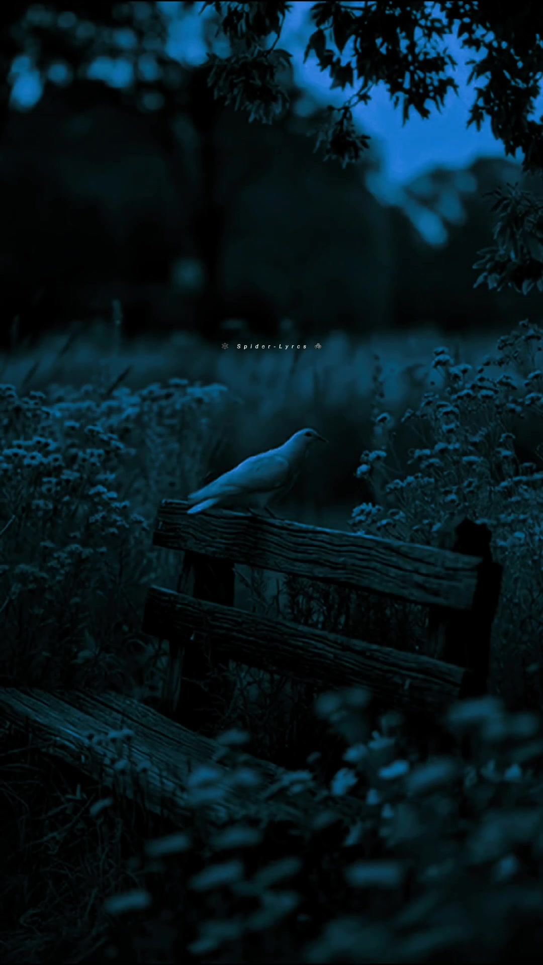 @&laquo;🕸️ՏᑭIᗪᗴᖇ-ᗰᗩᑎ&raquo;🕷️