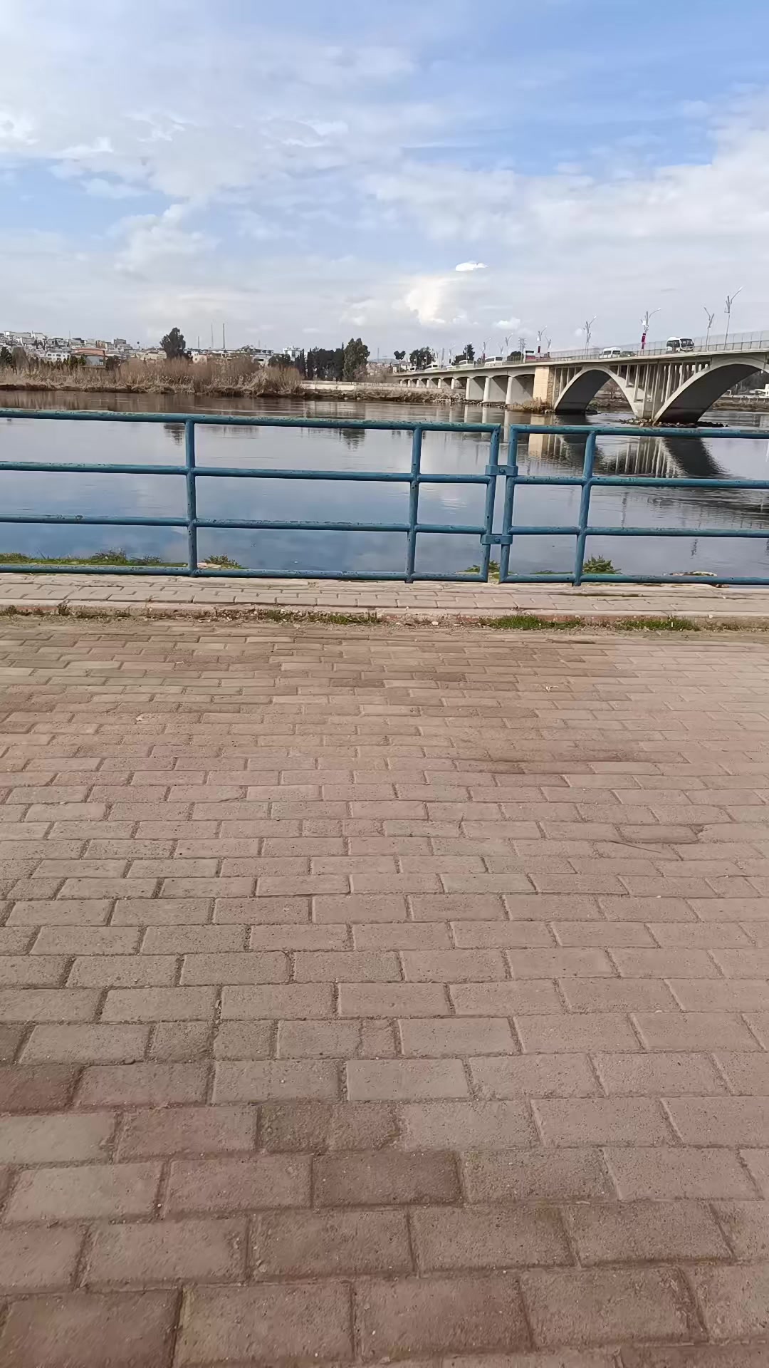 @Salih Tokay