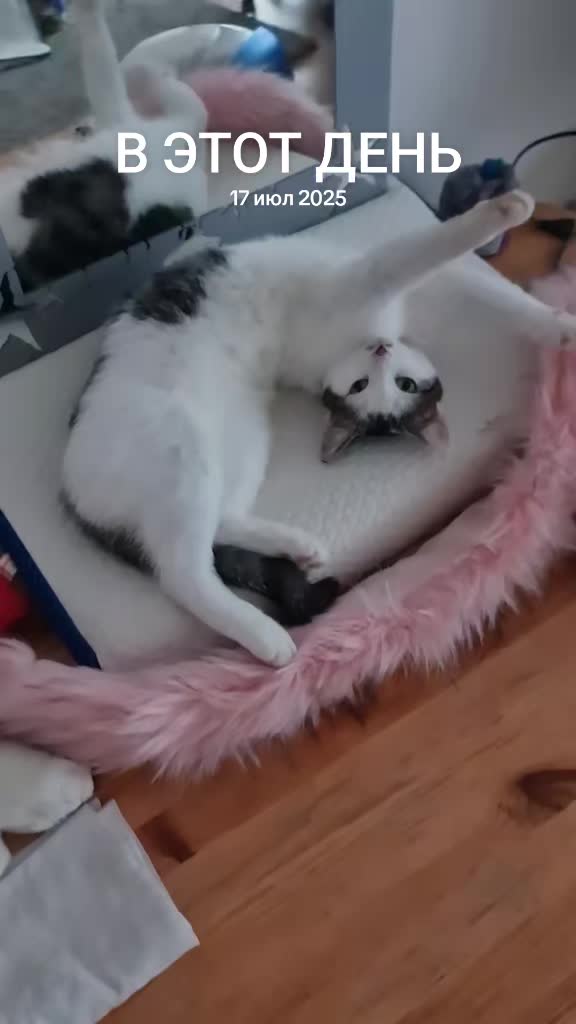 @😛Катюша😛