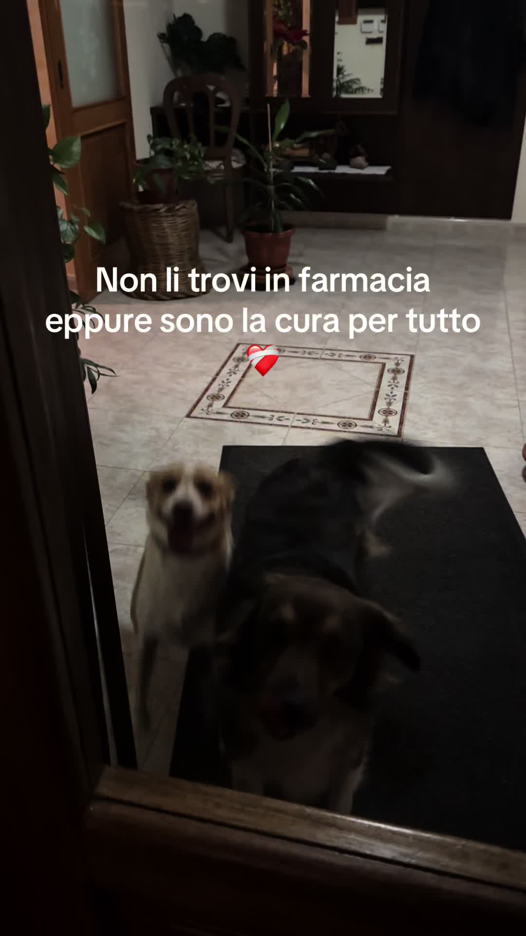 @Carmen Groccia