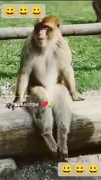 @Senthooran 🔥🔥