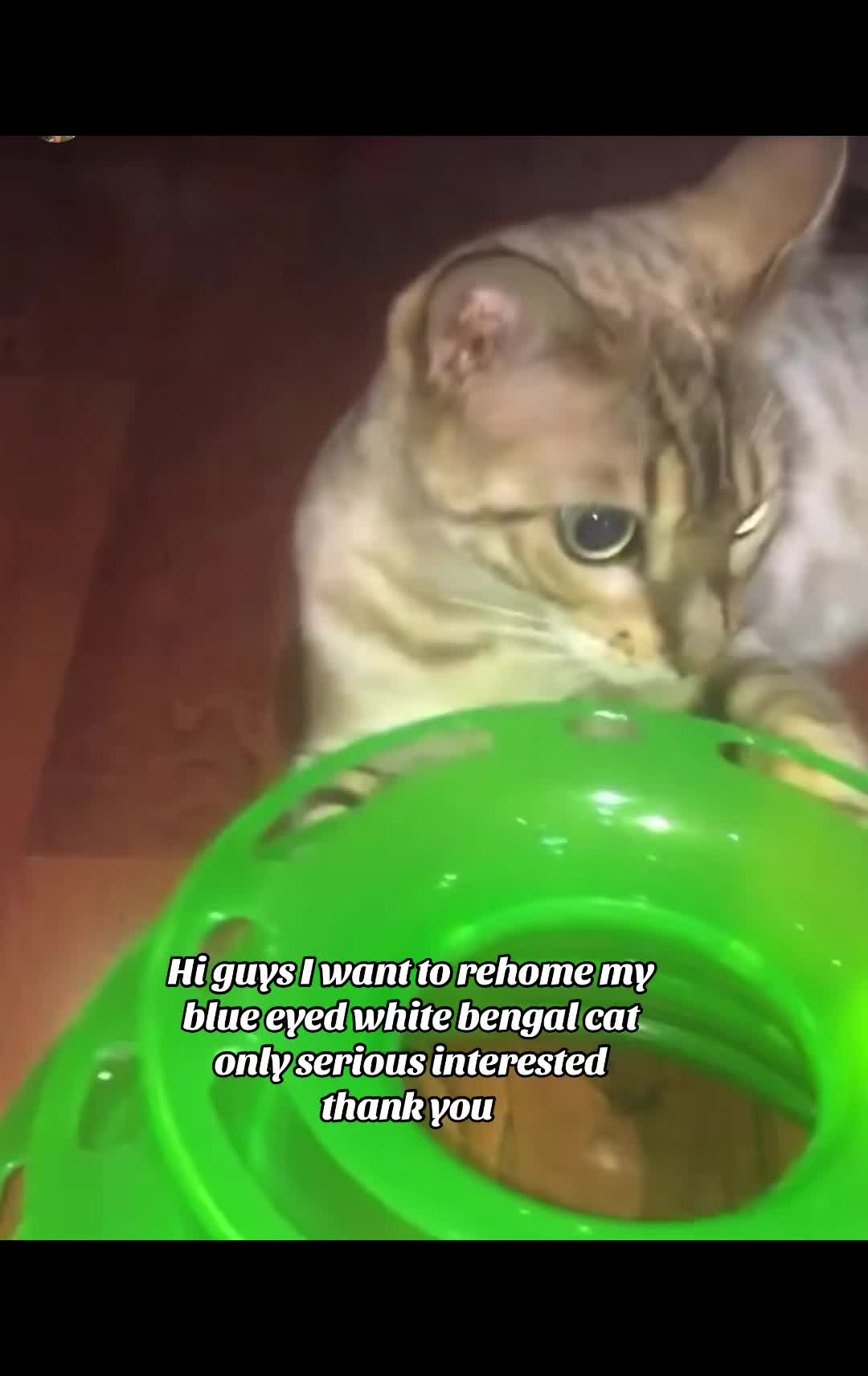 @Worldcontent2