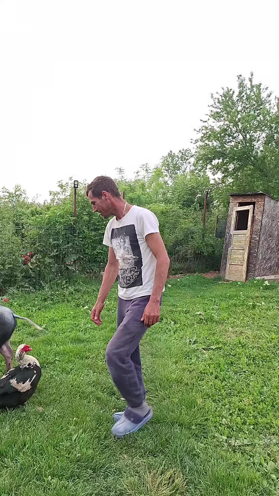 @silviu87
