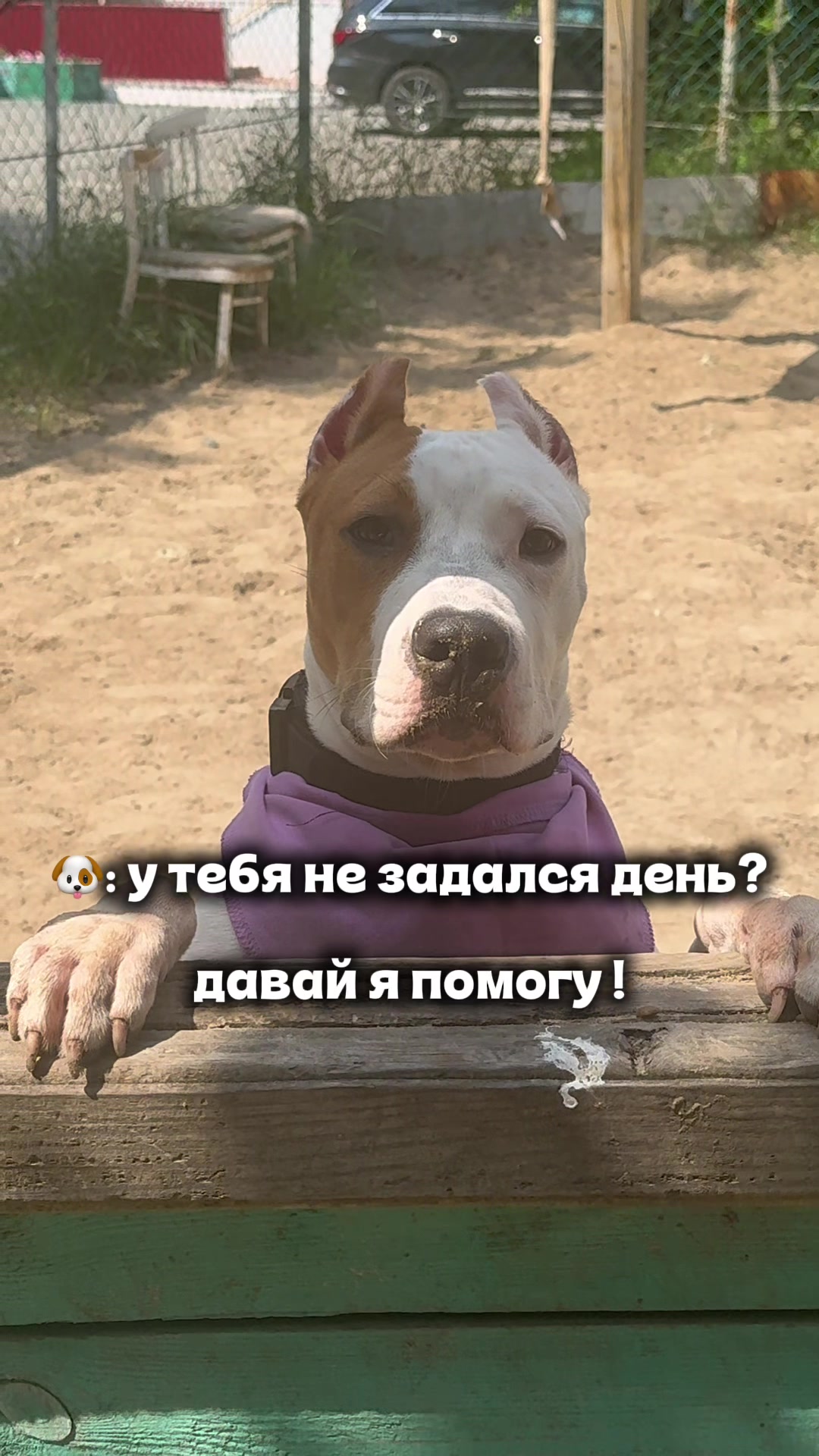 @ТГК- АСТ ГУФ