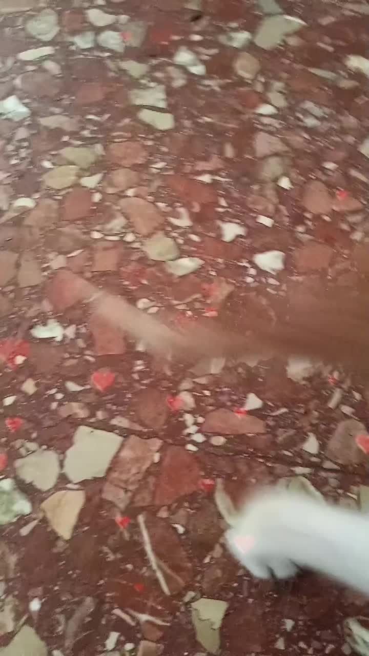 @Vero Jimenez Ferrer