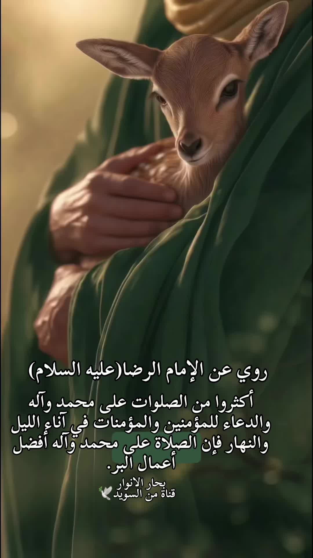 @Sayed Hassan.
