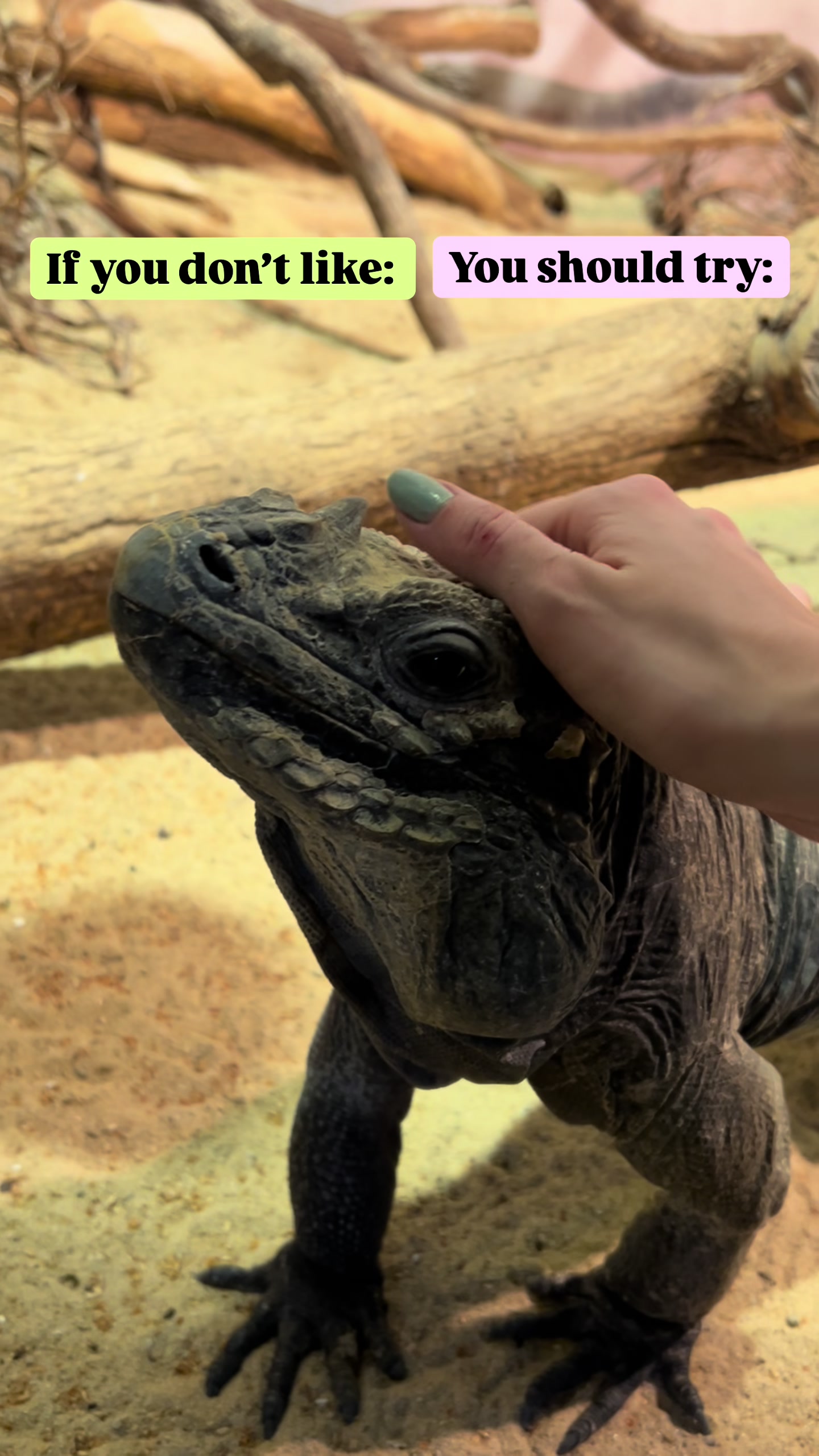 @reptilbewusst