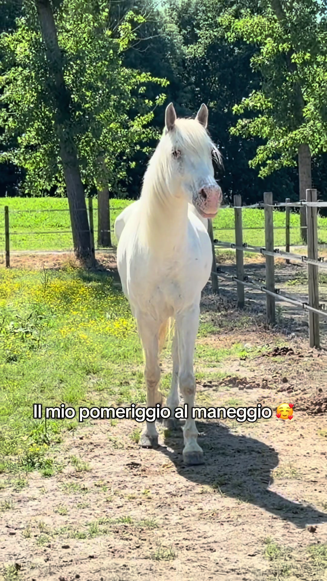 @Marta 🐴