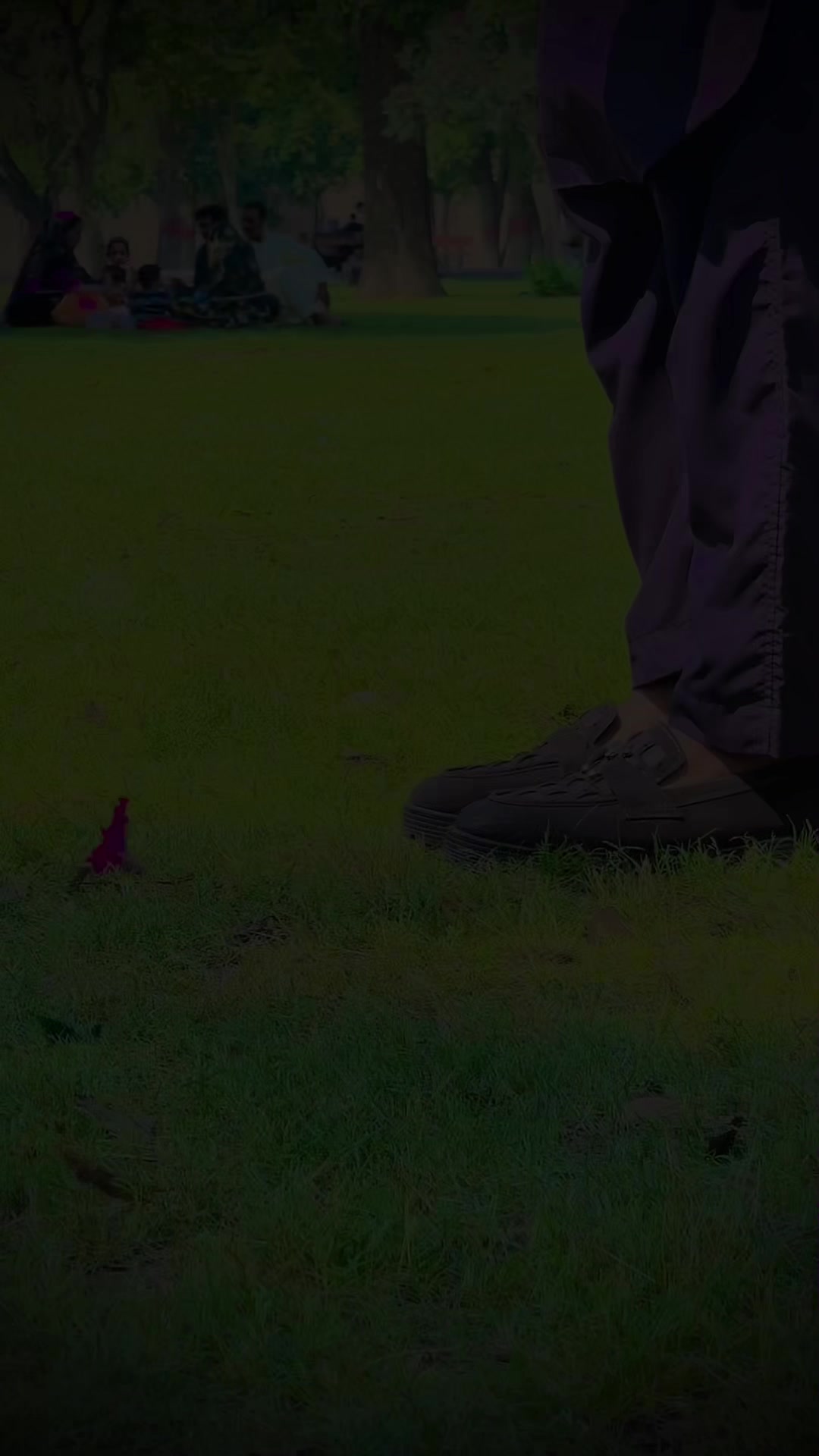 @🤗لالا کاشی کشمیری پھٹان❤️