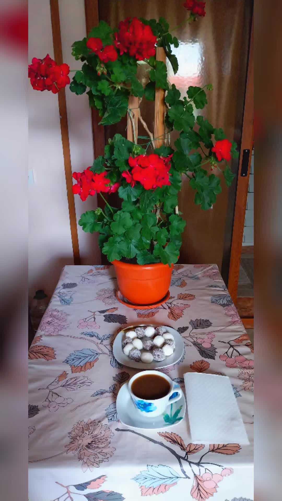 @Edit Fülöp