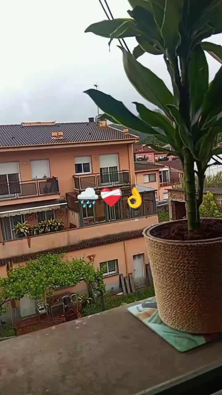 @rifeya