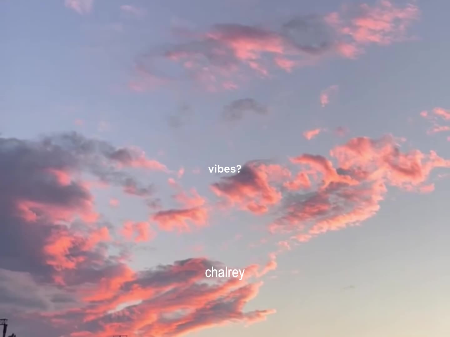 @ʟᴏꜰɪ ᴅʀᴇᴀᴍꜱ
