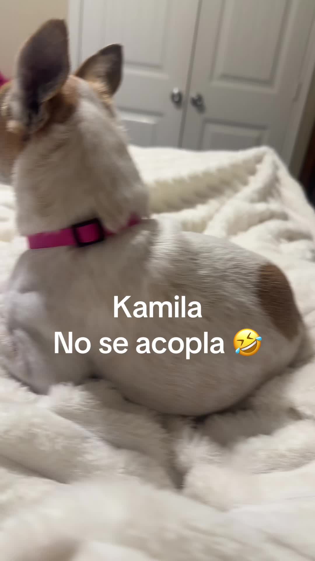@Clara