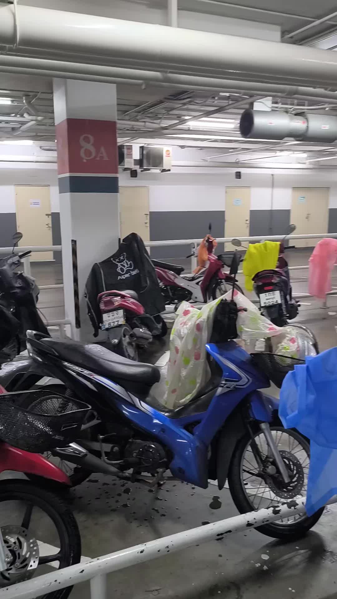 @Thailand-trader๐น๐ญ๐๐ผ