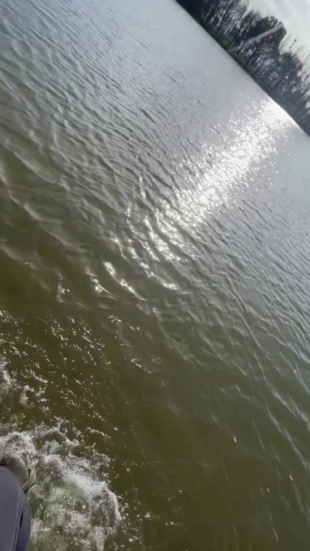 @Laura1998