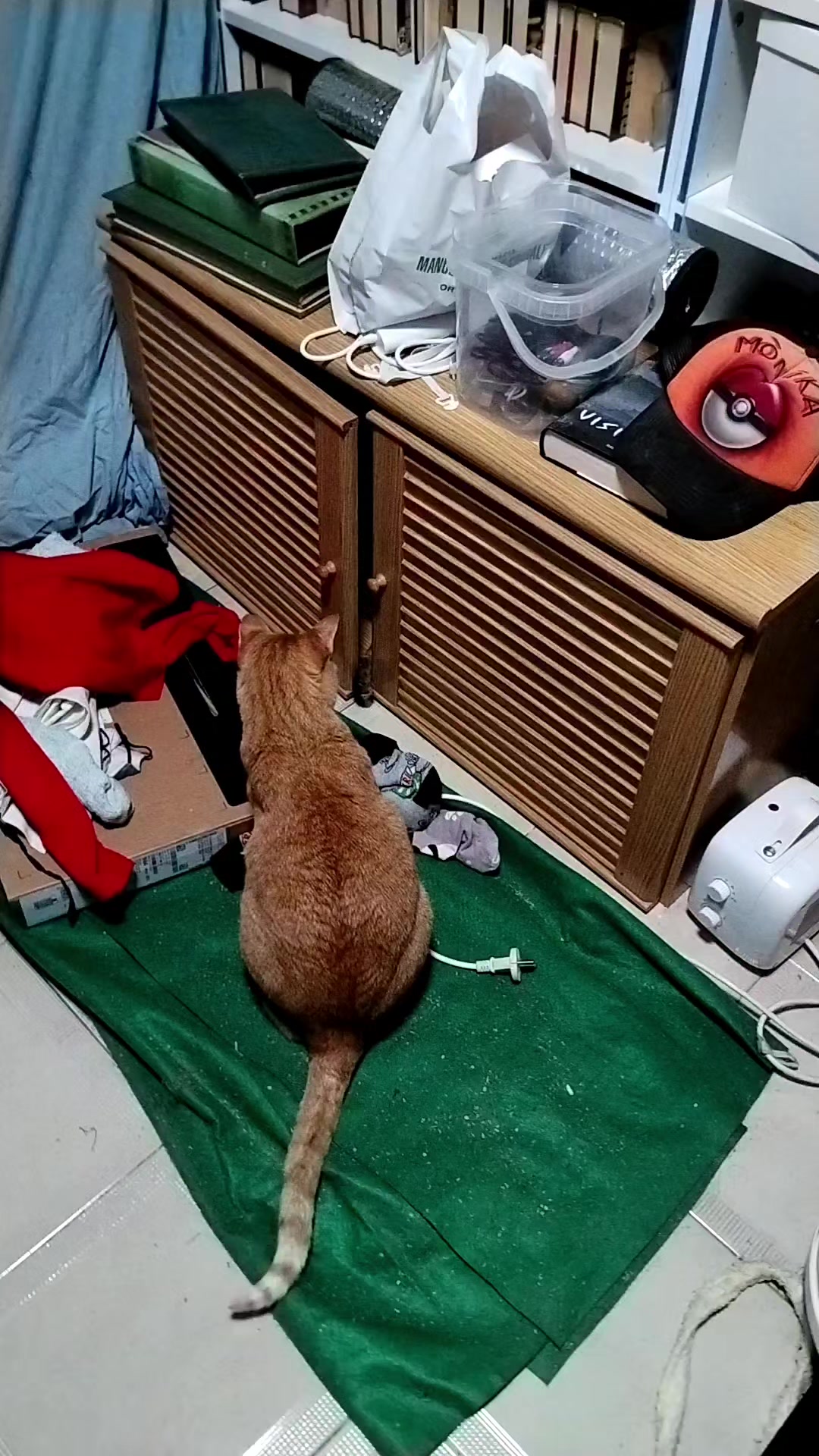 @Mon