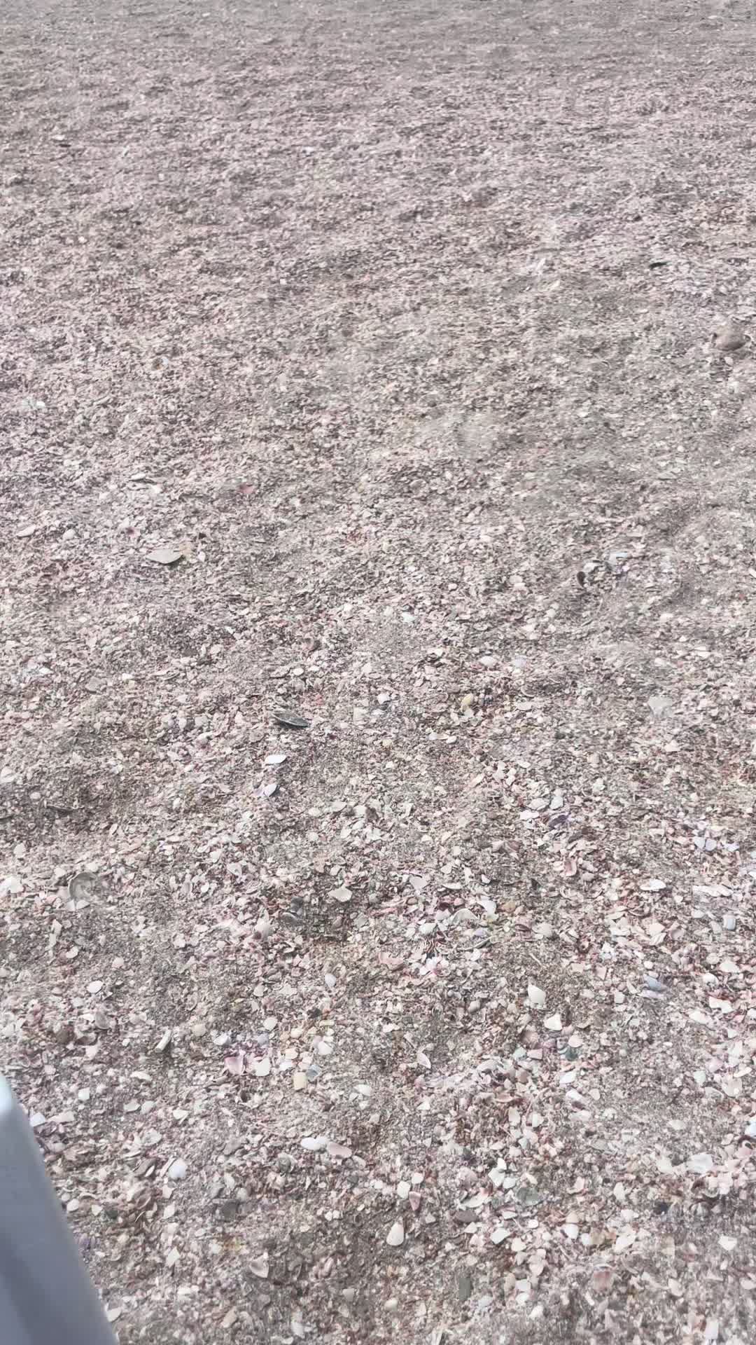 @самса