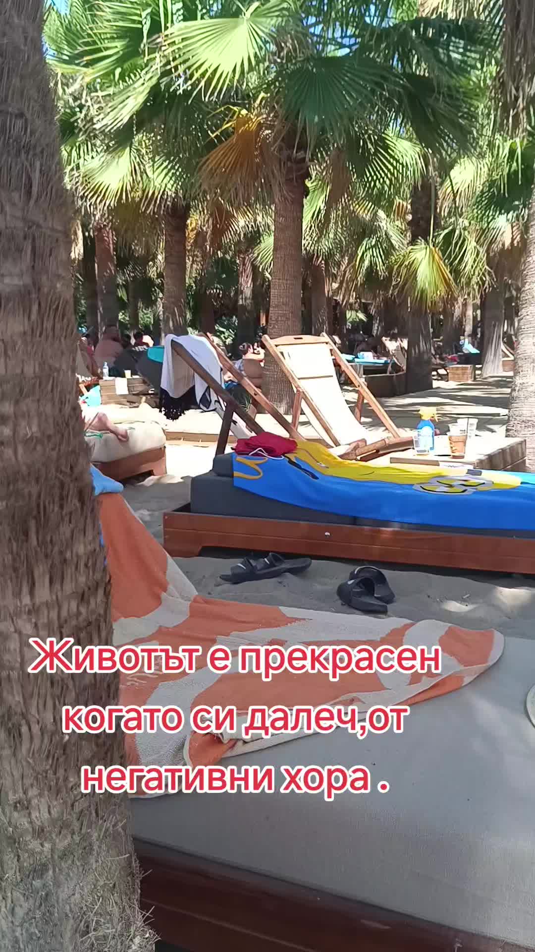 @Bari