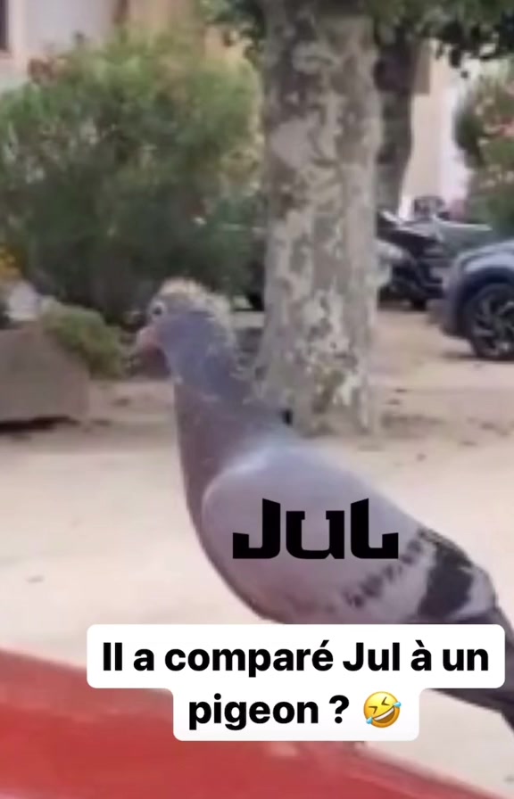 @MEME TOUT COURT