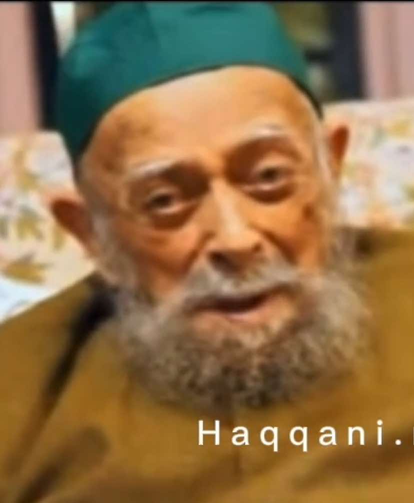 @Haqqani Rose