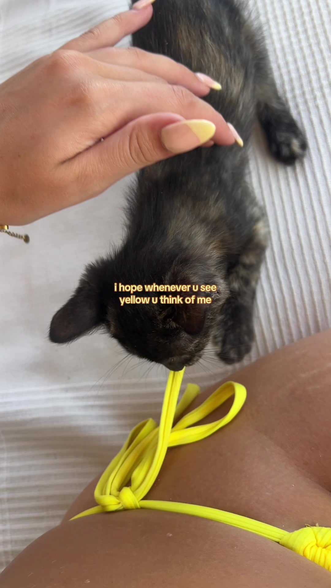 @zoe