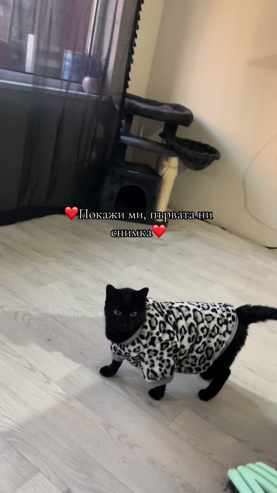 @𝚂𝚒𝚜𝚒 𝚂𝚝𝚘𝚢𝚊𝚗𝚘𝚟𝚊