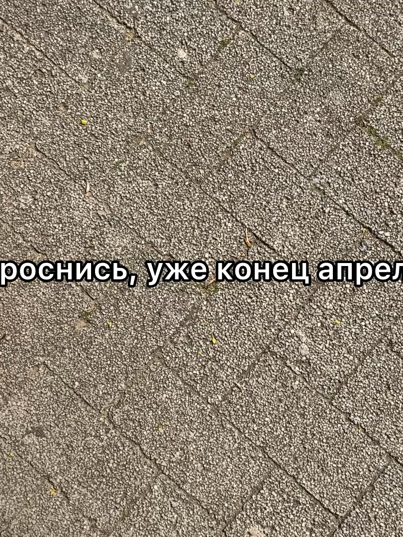@GR1FFEZ