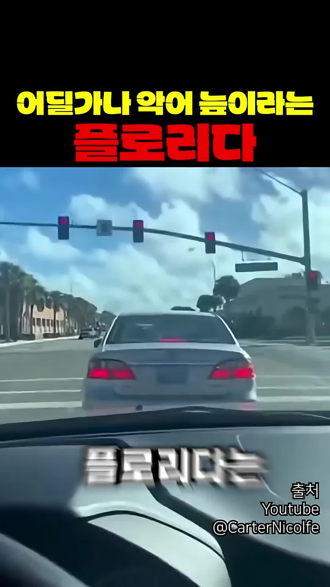 @짱아까미