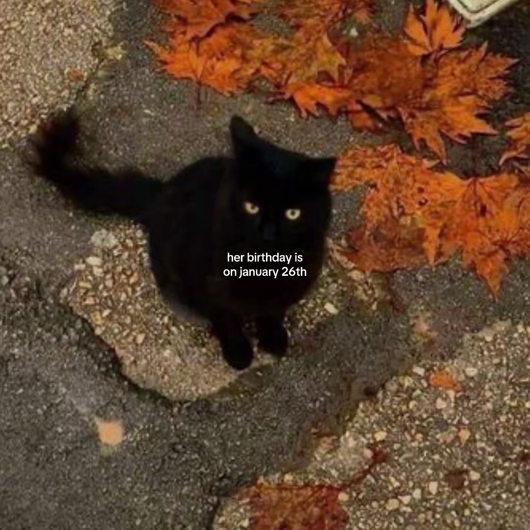 @✨