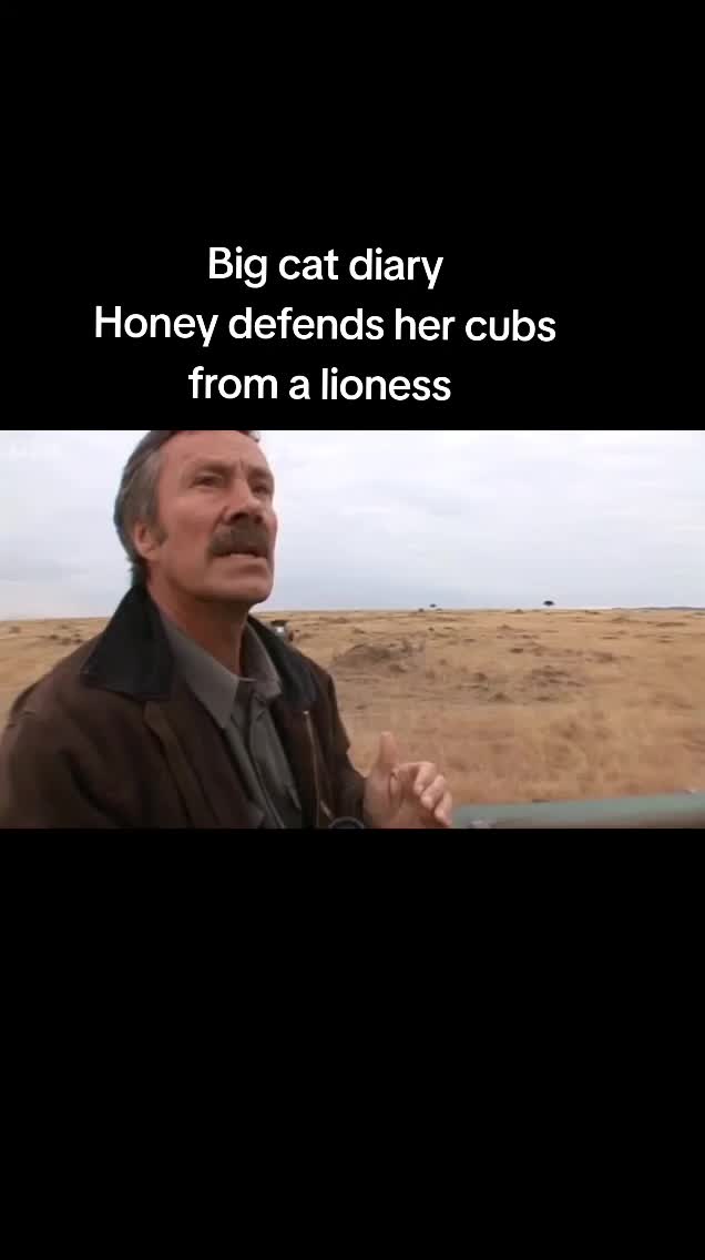 @Dan