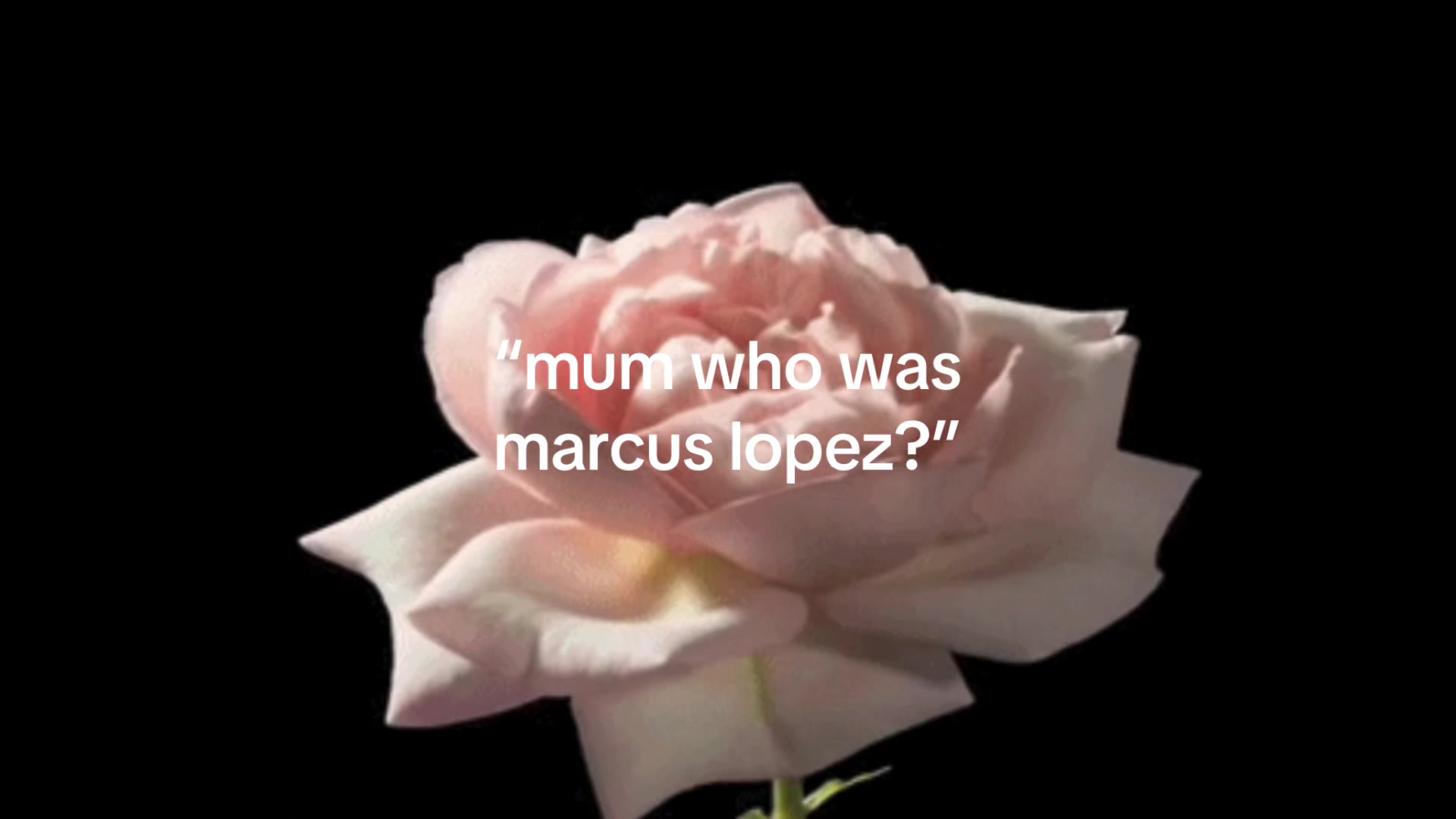 @⚯ ͛
