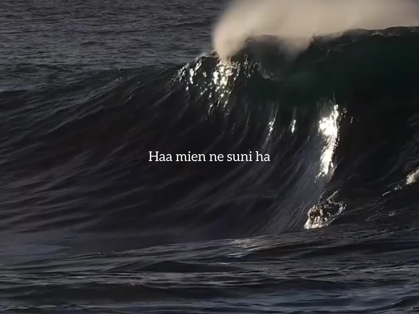 @ʟᴏꜰɪ ᴅʀᴇᴀᴍꜱ
