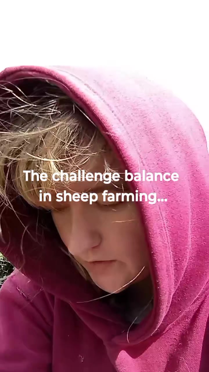 @StillershillKunes