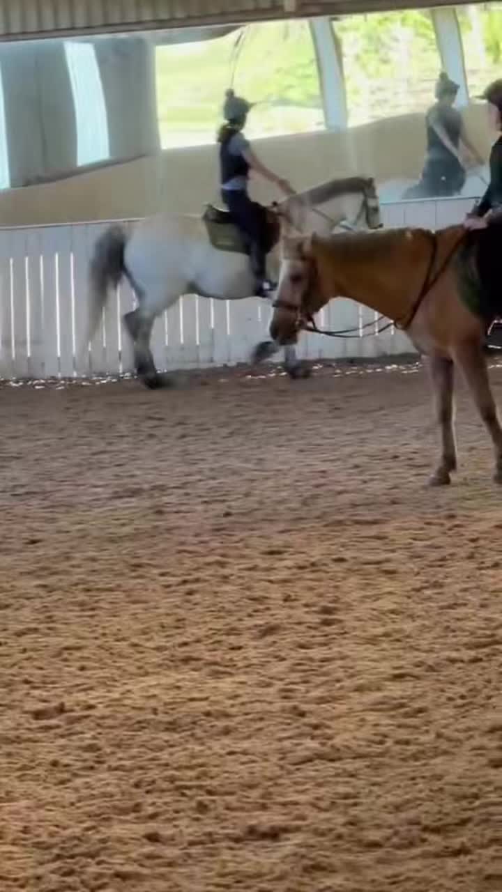 @Soph 🤍🐴