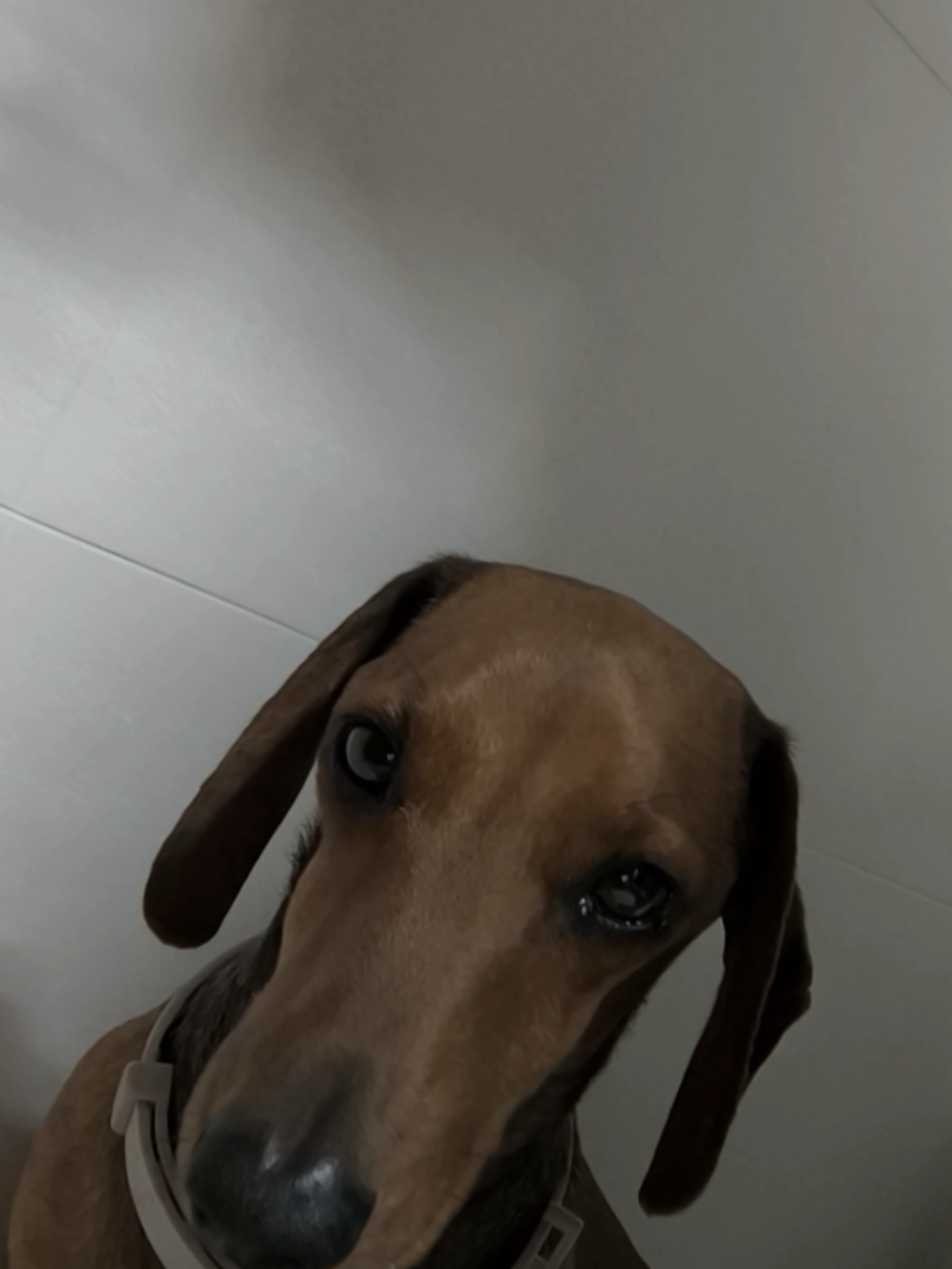 @𝑨𝒏𝒂