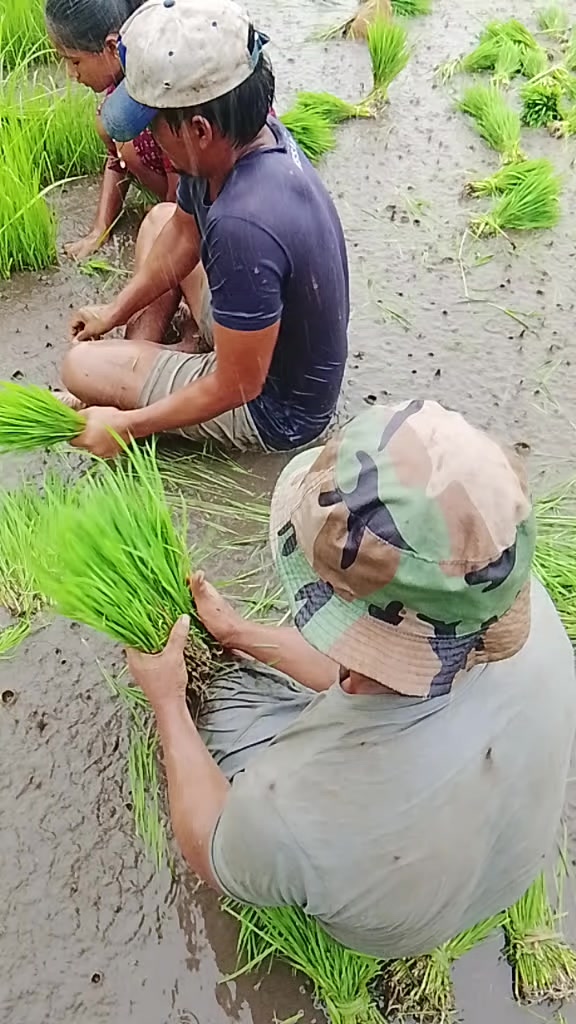 @kancha kancha