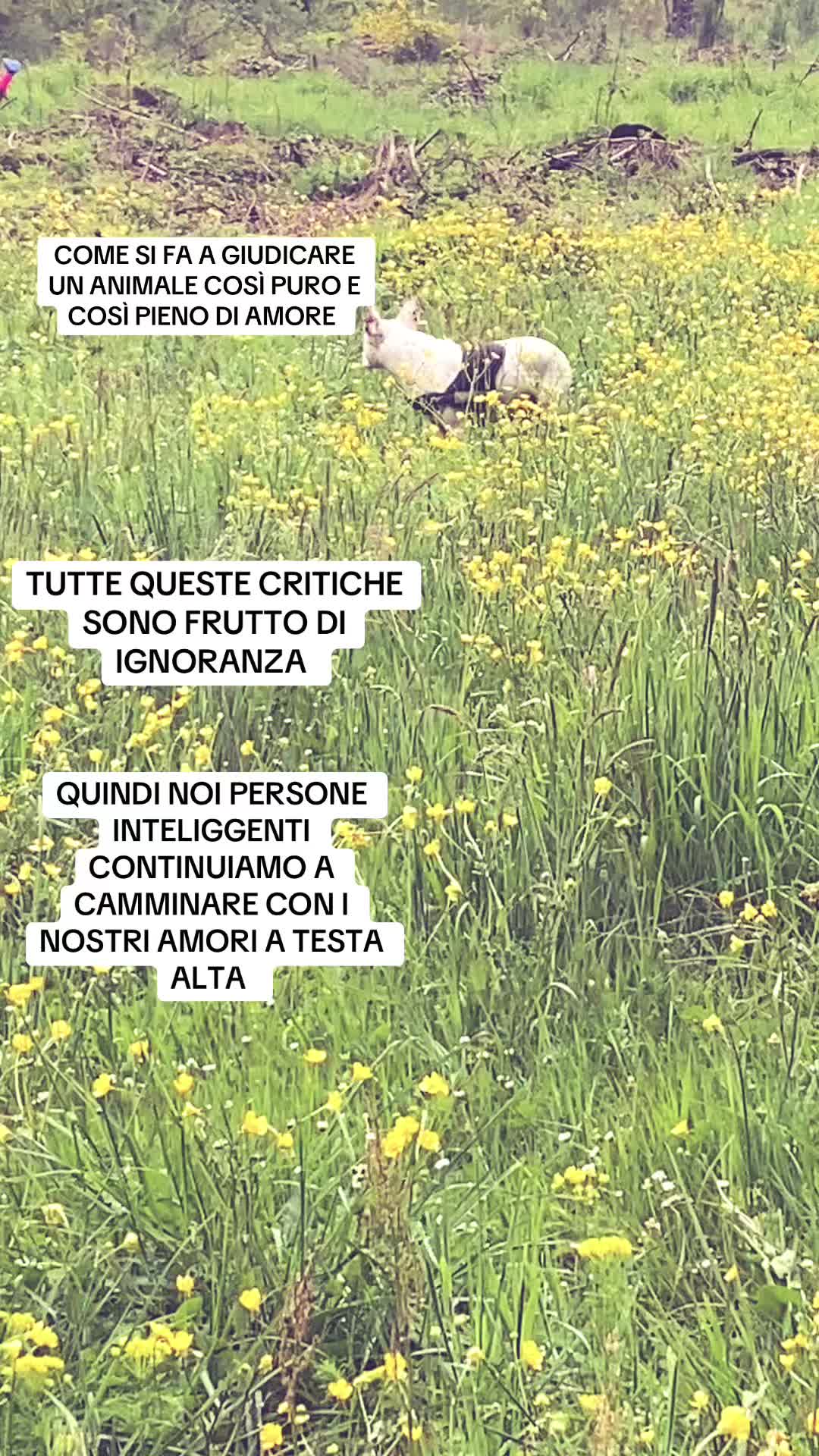 @Ilaria Urbani