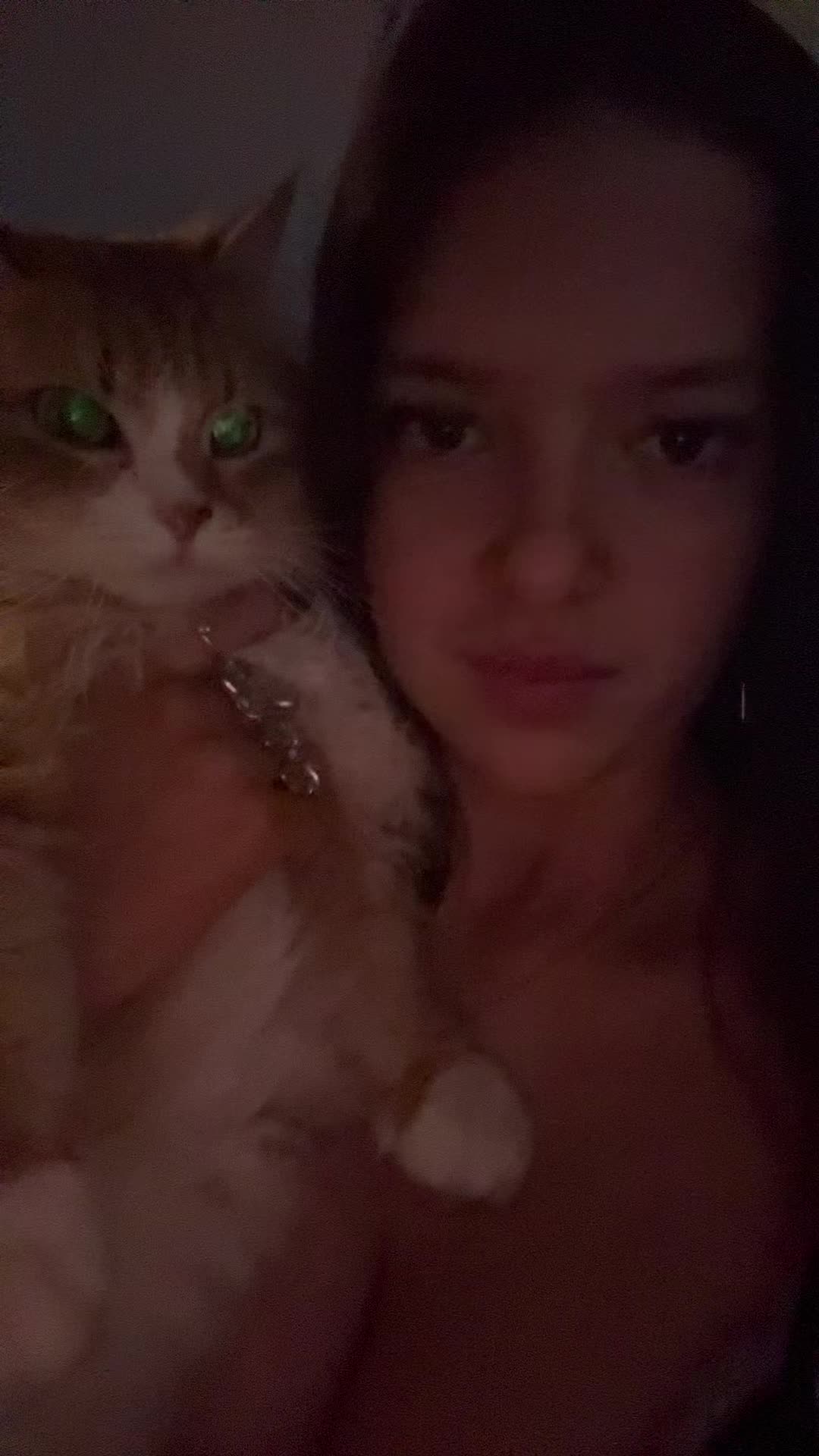 @litespammish