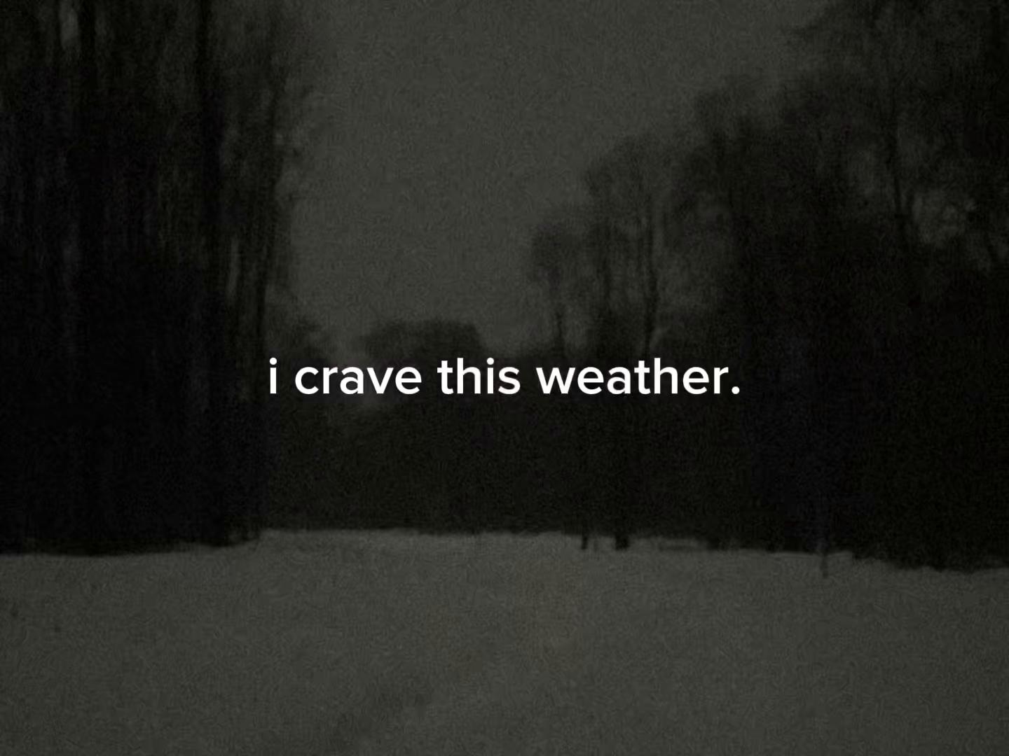 @feels🩶