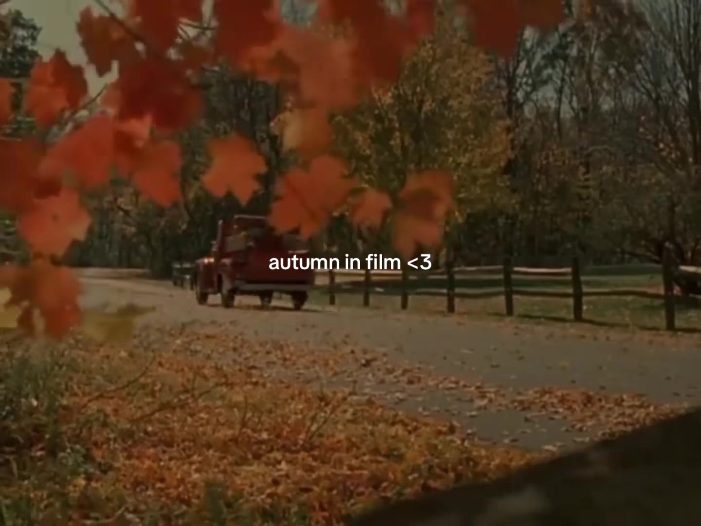 @valentinelaufey (fan account)
